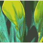Green Leaves Cross Stitch Pattern (Easy)